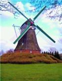 Veranstaltungsbild Vom Korn zum Brot Mühlenmuseum mit Stockbrotbacken in Kooperation mit dem Harener Kunstkreis