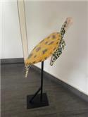 Veranstaltungsbild Workshop: Dein Haustier aus Ton